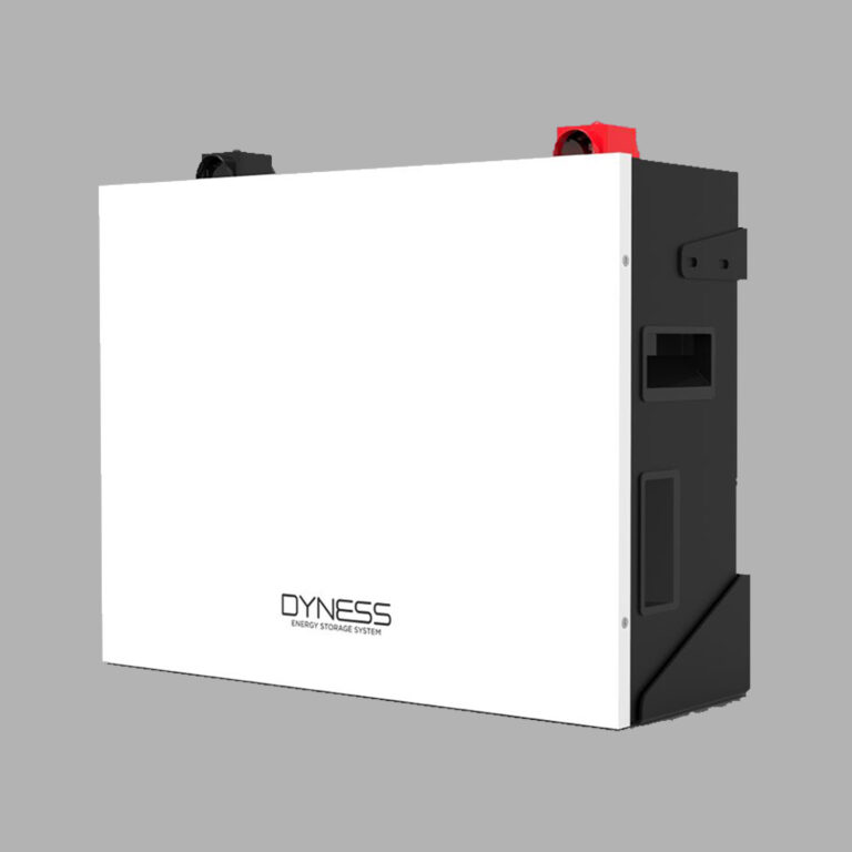 dyness-batteries-e-nyasa-solar-and-gas-limited